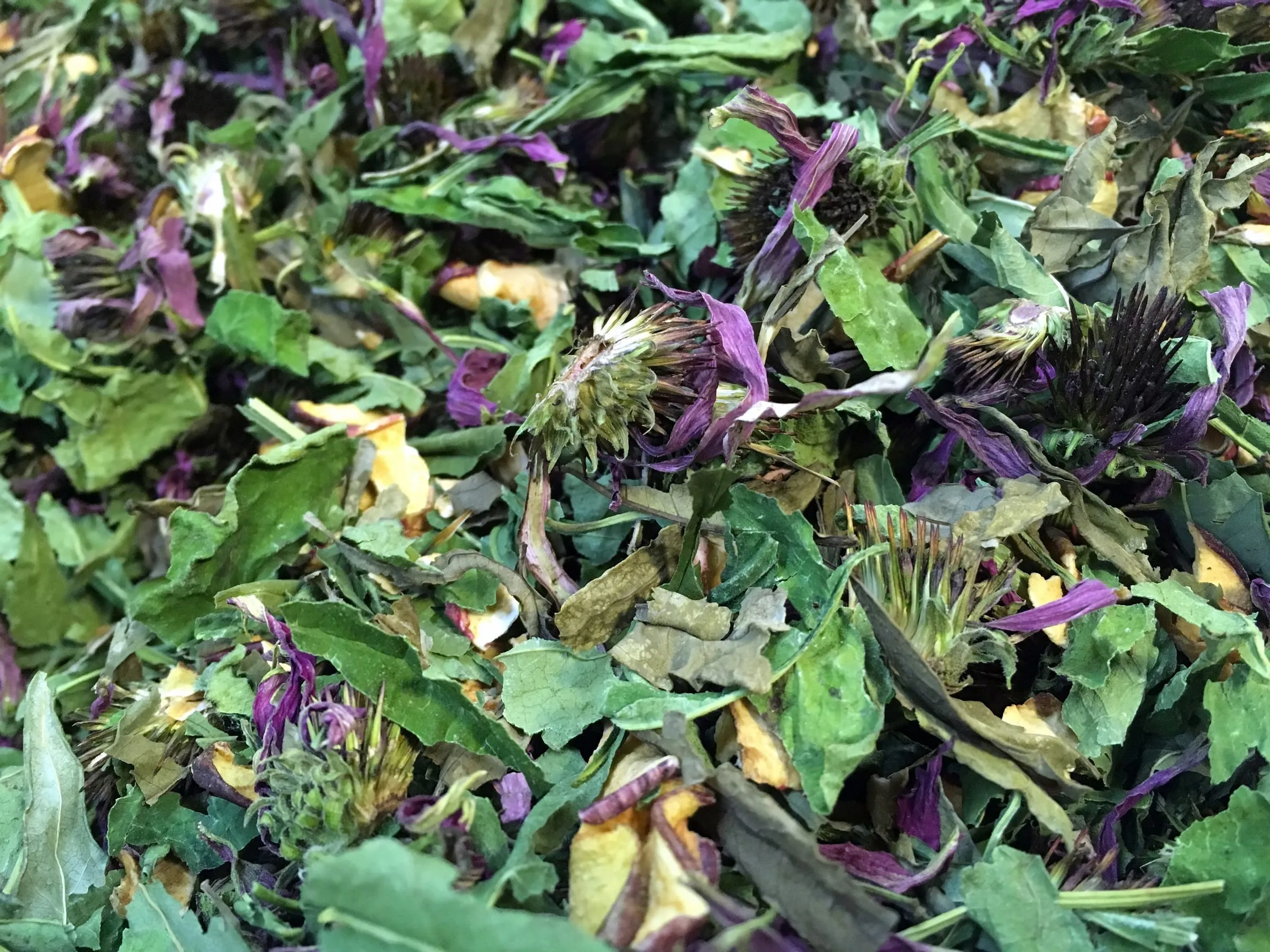 Ehinacea vitamin tea
