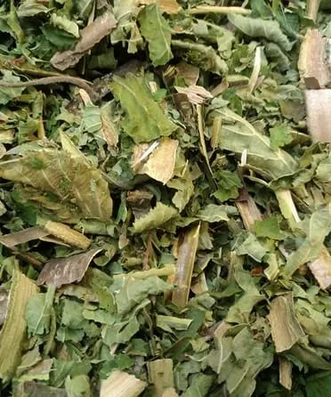 Hazel tea