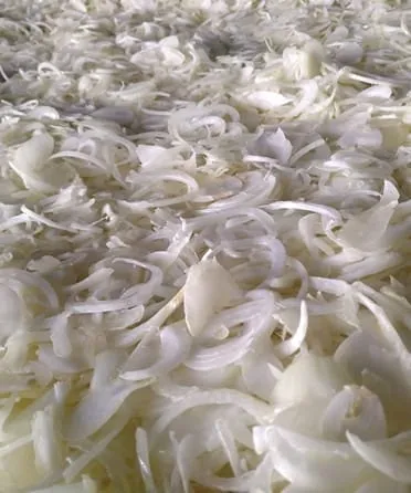 Onion powder